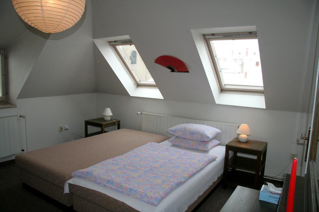 Penzion Orchidea Opočno Rom bilde